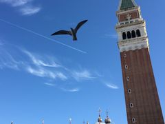 -圣马尔谷圣殿宗主教座堂