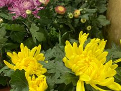 -三旗百汇商品城