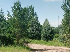 -塞罕坝国家级自然保护区