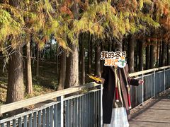 -月湖风景区