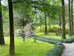 -杭州植物园