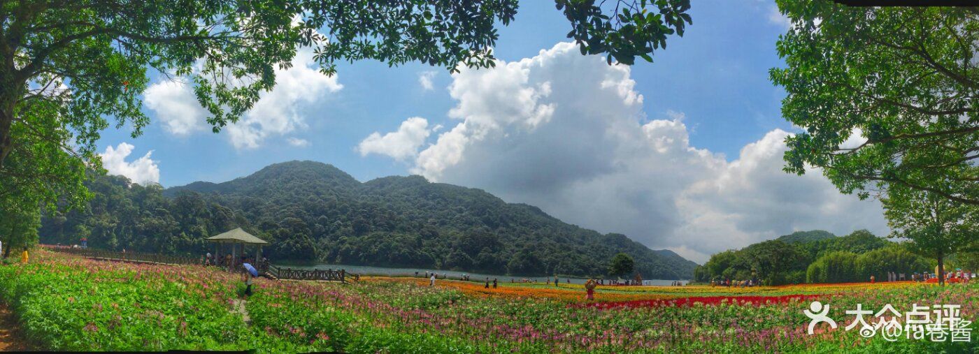 石門國家森林公園-圖片-廣州周邊遊-大眾點評網