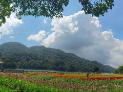 -广州市石门国家森林公园