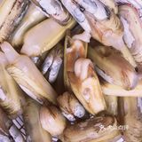 蒜蓉粉丝蛏子
