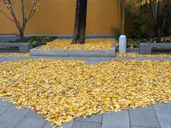 -龙华寺