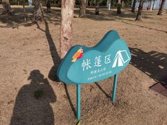 -野狸岛