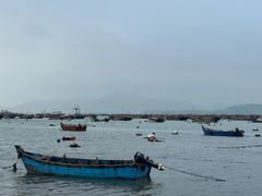 -春妮海味饭店·海景餐厅·海菜包子·大连海鲜