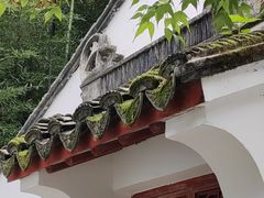 -上海醉白池公园