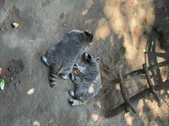-西霞口神雕山野生动物世界