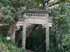 -平湖九龙山旅游度假区