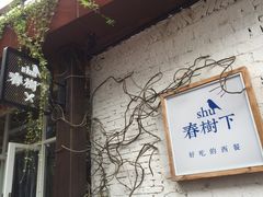 -春树下·树屋花房西餐厅(罍街AS1980店)