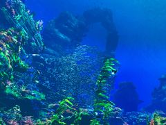 -海合安天津极地海洋公园