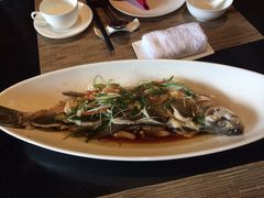 签到图片-羡餐厅·杭帮菜·淳菜(千岛湖自由洲际殿店)