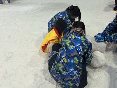 -世界之窗阿尔卑斯冰雪世界
