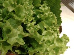 -炭之家·齐齐哈尔非遗烤肉·鲜切直供(中央大街店)