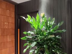 -锦庐道地川菜(来福士店)