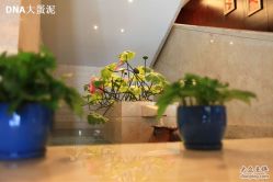 -DNA Wedding 婚礼记(上海店)