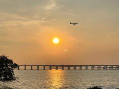 -宝安西湾红树林湿地公园