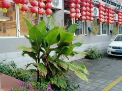 -姥家大锅台水库渔家