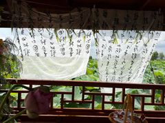 -白洋淀景区