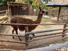 -泉州海丝野生动物世界