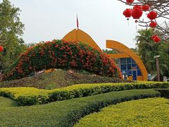 -金花茶公园