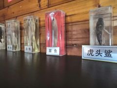 -南京金牛湖风景区