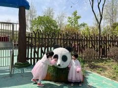 -合肥滨湖国家森林公园