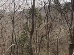 -南山风景名胜区