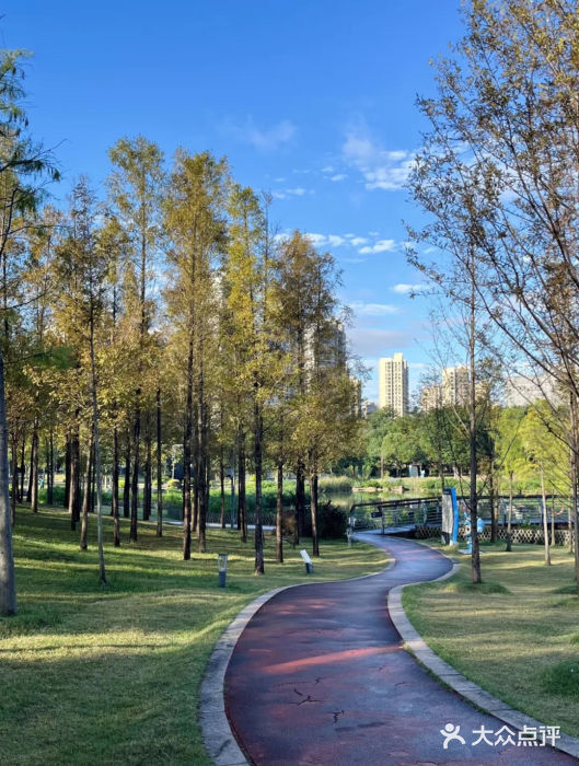 牛岗山公园图片