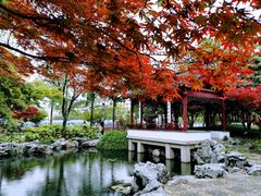 -枫桥景区