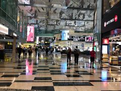 -樟宜机场免税店