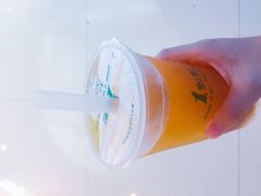四季春茶＋珍波椰-1点点(三阳广场店)
