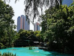 -静安公园(静安寺街道)