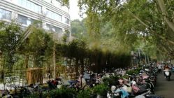 -河南中医药大学第一附属医院-医疗整形