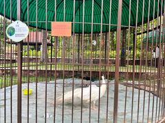 -西双版纳融创皇冠假日度假酒店