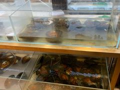 -十八字金银饰·拼豆·开蚌手工体验团建(君太百货店)