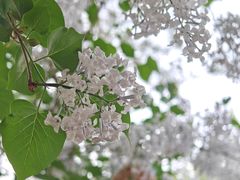 -张掖大佛寺景区