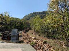 -牛首山文化旅游区