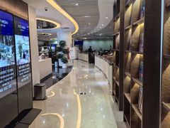 -南航明珠v2头等舱公务舱休息室