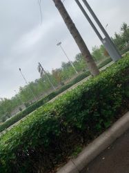 -HEYAN长风荷妍专业脱毛美肤
