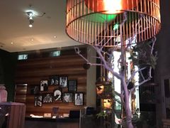 -蝴蝶汇音乐酒馆(罗湖店)