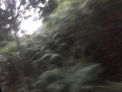 -广州市帽峰山景区