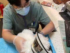 -宠爱国际动物医院·消化内科·心肾内科·ISFM猫友好(望京店)