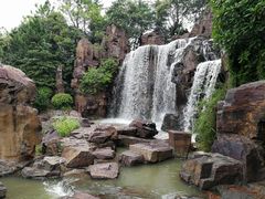 -上海鲜花港