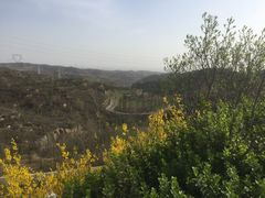 -五龙城郊森林公园