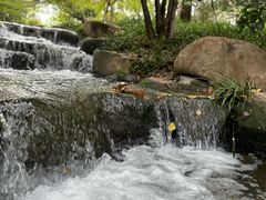 -中国茶叶博物馆(双峰馆区)