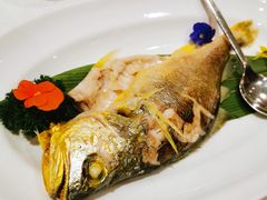 潮式打冷鲜冻黄花鱼-红棉中餐厅·广州海航威斯汀酒店