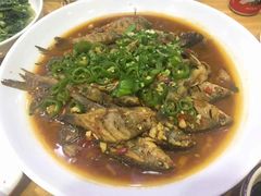 -全乐鱼馆·淳牌有机鱼直营店