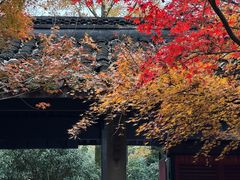 -西湖风景区十里琅珰-五云山